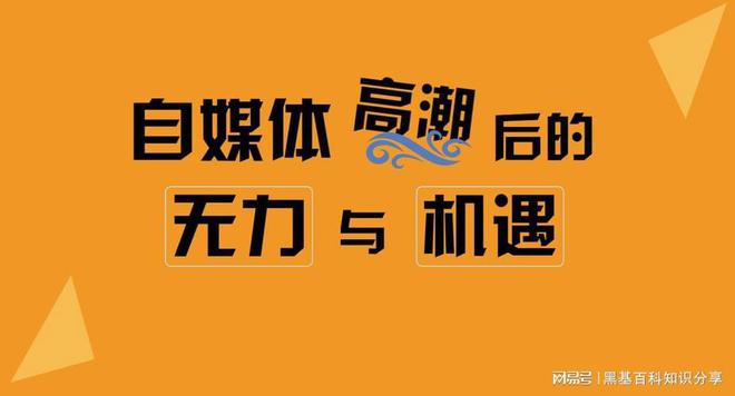 图片[4]-这4个副业项目不仅可靠，适合在家赚钱-淘米副业