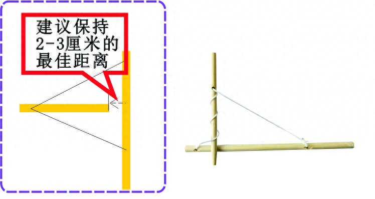 图片[3]-儿童科学实验材料包益智教玩具小学生科技小制作发明笼中鸟-淘米副业