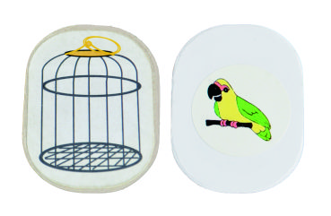 图片[4]-儿童科学实验材料包益智教玩具小学生科技小制作发明笼中鸟-淘米副业