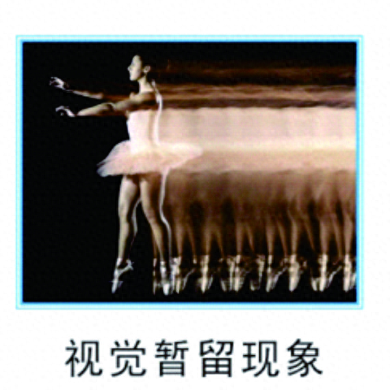 图片[8]-儿童科学实验材料包益智教玩具小学生科技小制作发明笼中鸟-淘米副业