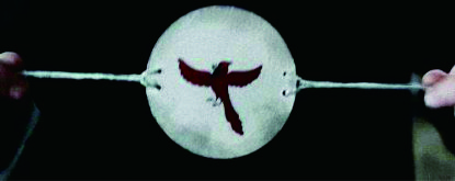 图片[10]-儿童科学实验材料包益智教玩具小学生科技小制作发明笼中鸟-淘米副业