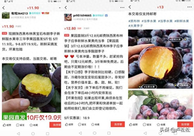 图片[2]-实操分享：小白轻松月入10000+的闲鱼玩法-淘米副业