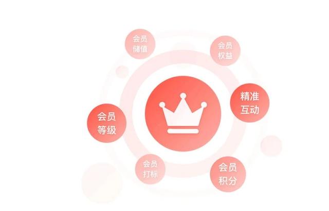 图片[3]-虚拟资源网站搭建，副业项目日赚1000-淘米副业