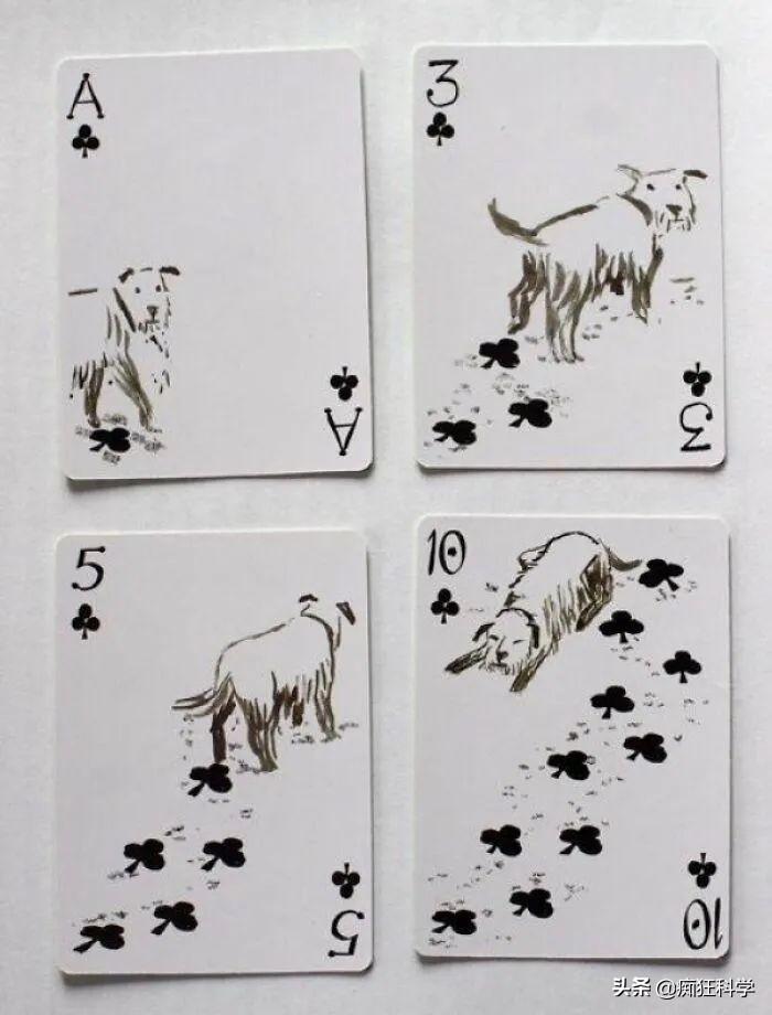 图片[16]-小学生16个创意小发明，看看你最喜欢哪个？-淘米副业