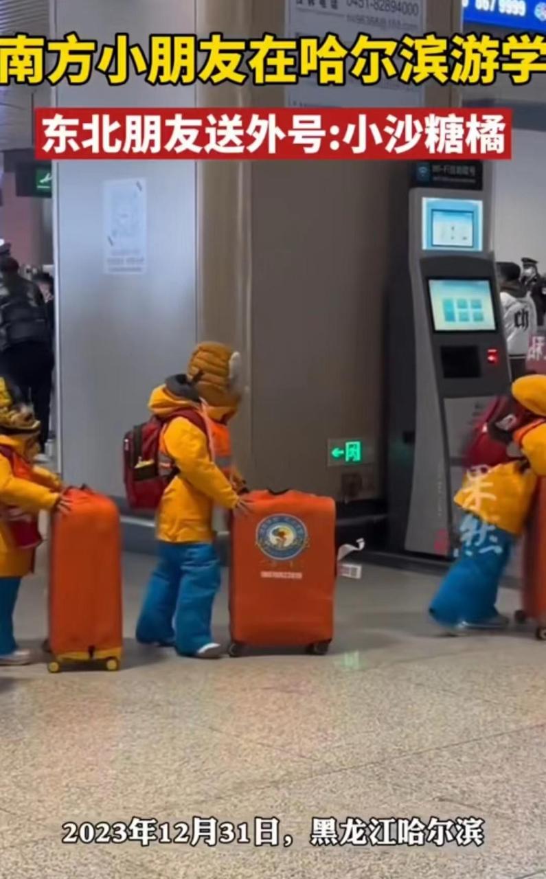 图片[5]-小砂糖橘再次带火哈尔滨，沈阳文旅坐不住了，局长：路过来看看呗-淘米副业