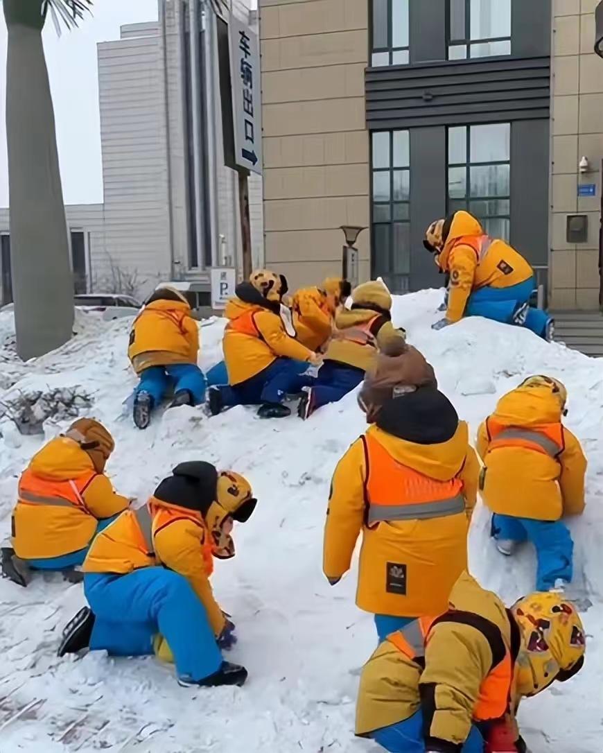 图片[6]-小砂糖橘再次带火哈尔滨，沈阳文旅坐不住了，局长：路过来看看呗-淘米副业