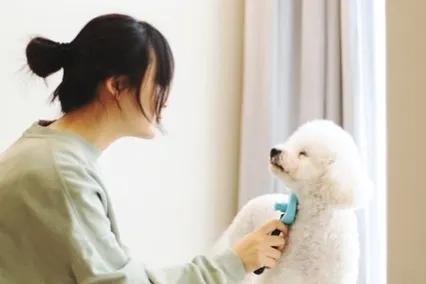 图片[6]-小本创业，零风险！这12个副业，让你从零开始成功-淘米副业