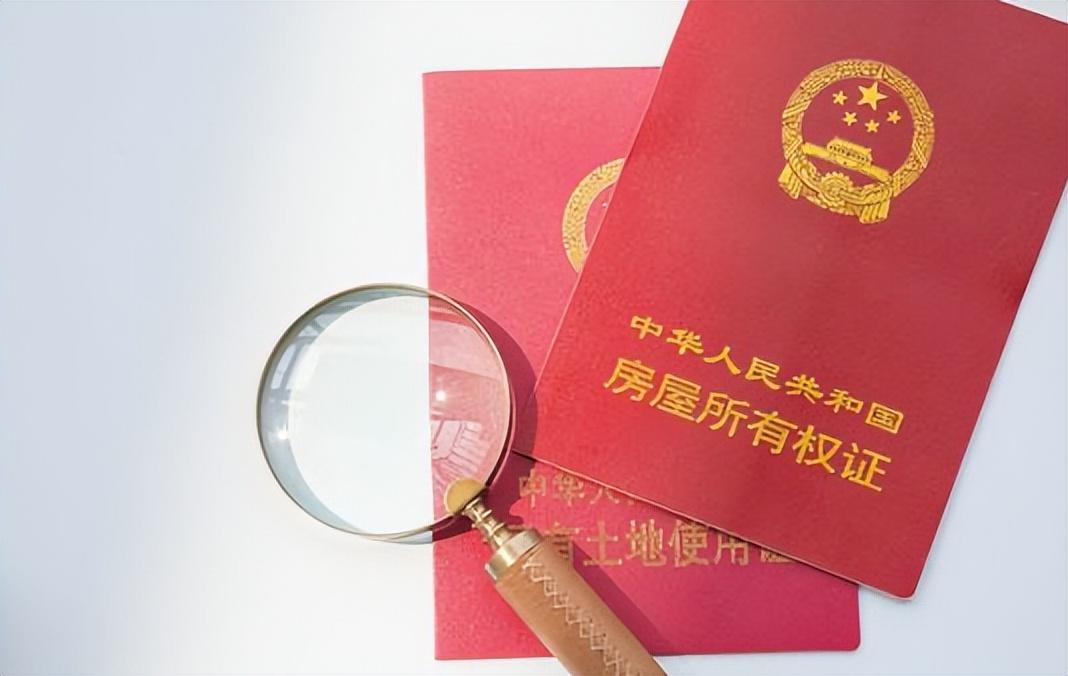 图片[4]-法院拍卖的房子这么便宜，为什么却很少有人买？看完你还敢买吗？-淘米副业