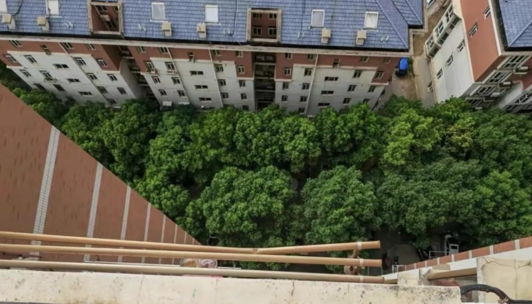 图片[9]-为什么回迁房没人愿意买了？拆迁户称：有3个缺点无法忍受-淘米副业