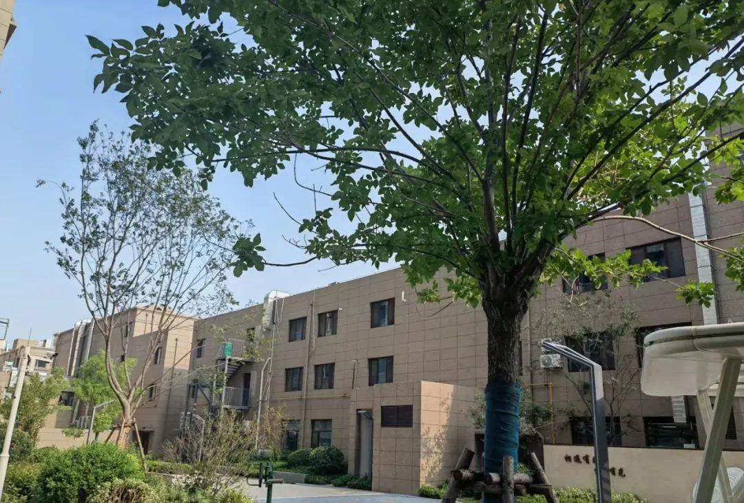 图片[13]-为什么回迁房没人愿意买了？拆迁户称：有3个缺点无法忍受-淘米副业