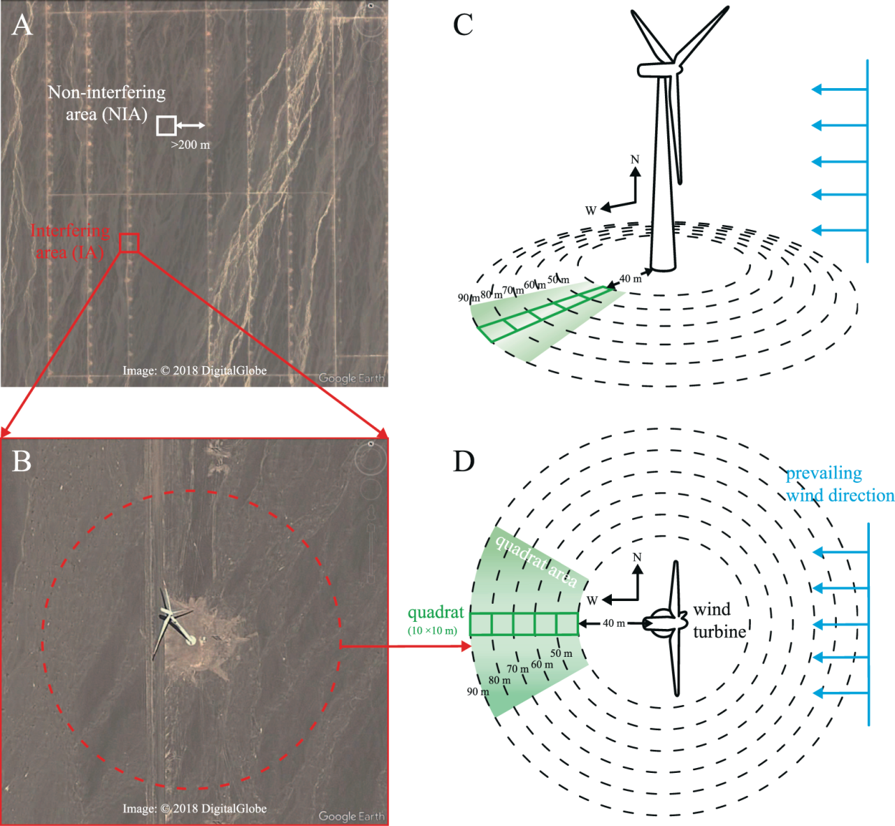 图片[7]-风力发电危害有多大？付：欧美眼中的“垃圾电”，中国为何却大力建设？-淘米副业