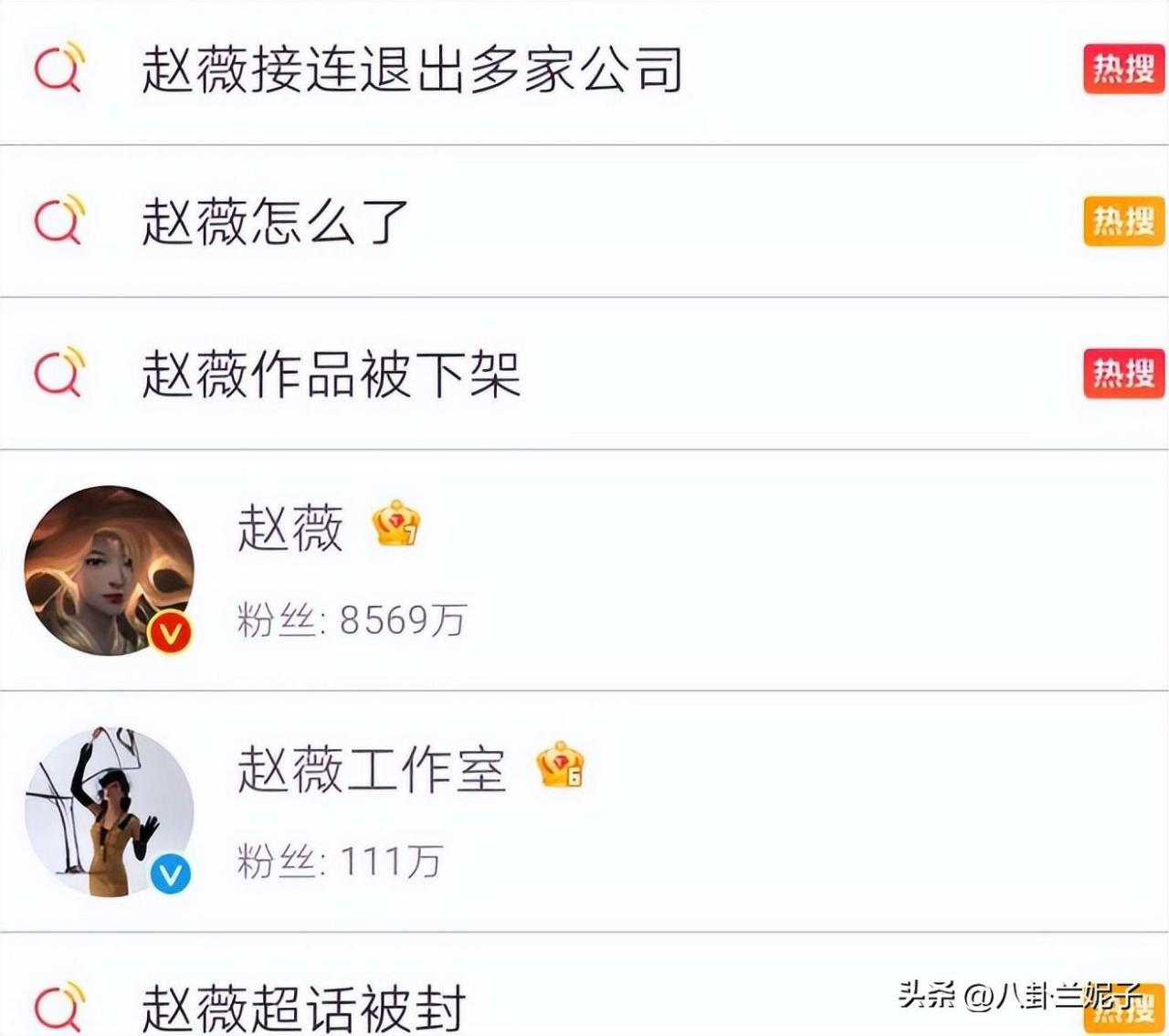 图片[7]-赵薇个人简介（赵薇为什么被全网封主要原因）-淘米副业