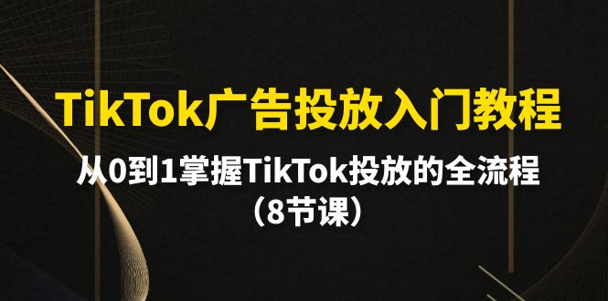 TikTok广告投放入门教程，从0到1掌握TikTok投放的全流程（8节课）-淘米项目网