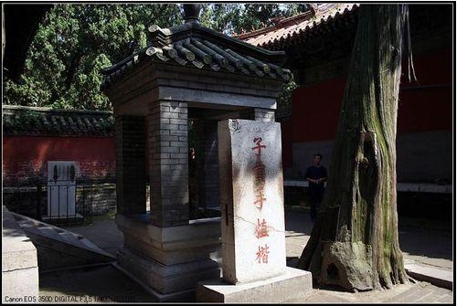 孔子最亲密的三大弟子:子路最勇猛,子贡最善辩,颜回最仁德 孔子最亲密的三大弟子:子路最勇猛,子贡最善辩,颜回最仁德