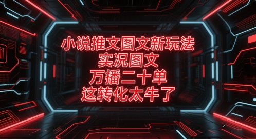 小说推文图文新玩法，实况图文，万播二十单，这转化太牛了！-淘米副业
