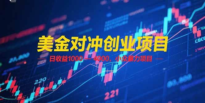 美金对冲创业项目，日收益 1000 – 4000，小众暴力项目-淘米副业