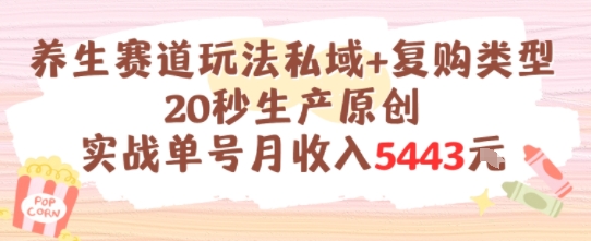 养生赛道玩法私域+复购类型，20秒生产原创实战单号月收入5k+-淘米副业