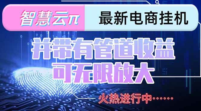 智慧云π电脑挂机单机每天收益300—500+ 并带有团队管道收益 可无限放大-淘米副业