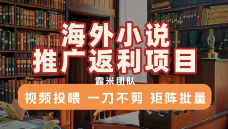 海外小说推广返利项目，视频投喂， 一刀不剪，矩阵批量-淘米副业
