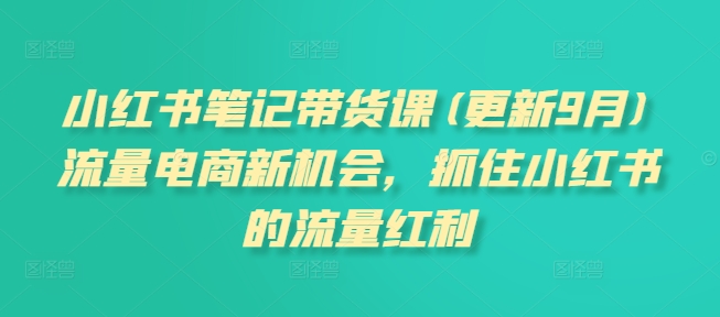 小红书笔记带货课(更新25年9月)流量电商新机会，抓住小红书的流量红利-淘米副业